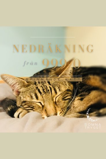 Nedräkning från 999-0: Spinnande katt - cover