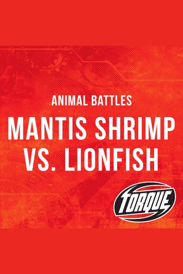 Mantis Shrimp vs Lionfish - cover