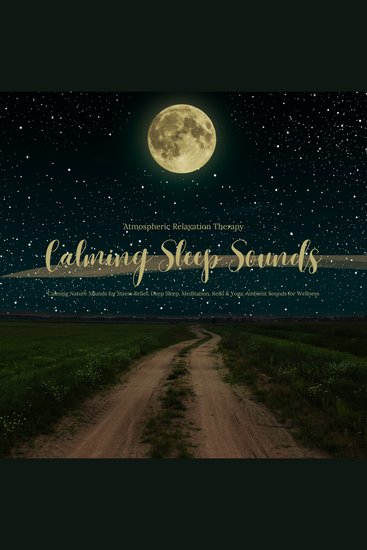 Calming Sleep Sounds - Ambient Relaxation Therapy - Calming Nature Sounds - Stress Relief Deep Sleep Meditation Reiki & Yoga Ambient Sounds for Wellness - cover