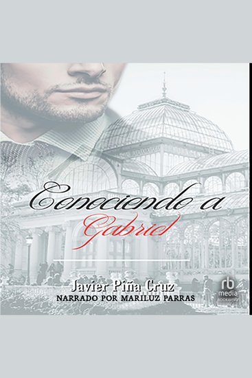 Conociendo a Gabriel - cover
