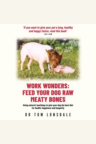 Work Wonders - cover