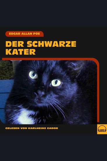 Der schwarze Kater - cover