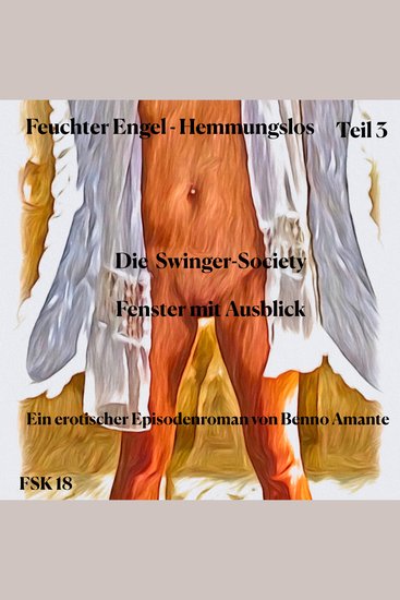 Feuchter Engel - Hemmungslos Teil 3 - Episode 5 Die Swinger-Society & Episode 6: Fenster mit Ausblick - cover