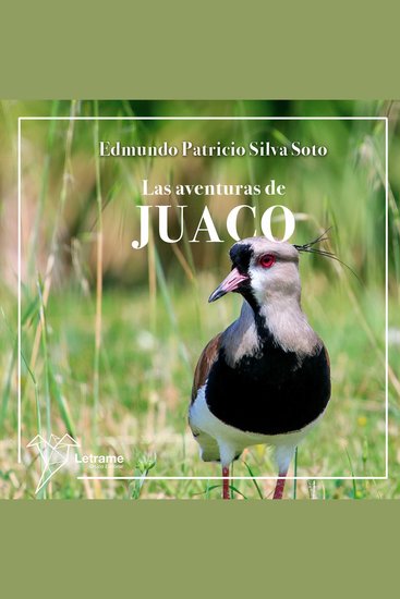 Las aventuras de Juaco - cover