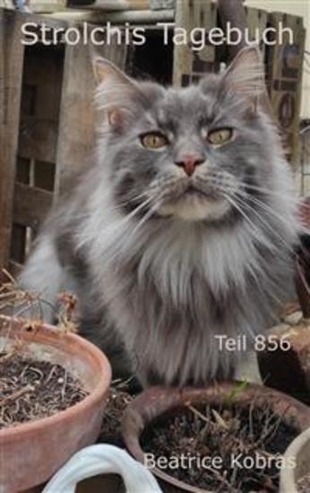 Strolchis Tagebuch - Teil 856 - cover