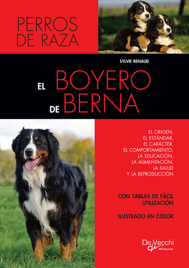 El boyero de Berna - cover