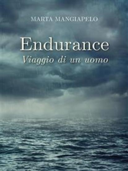 Endurance viaggio di un uomo - cover