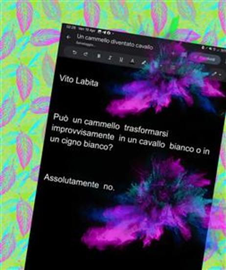 Può un cammello trasformarsi improvvisamente in un cavallo bianco o in un cigno bianco senzaesserenéuncavallonéuncigno? - cover