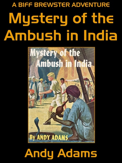 Mystery of the Ambush in India - cover