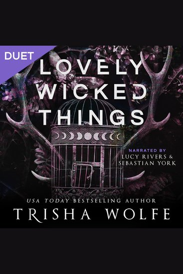 Lovely Wicked Things - A Dark Romance - cover