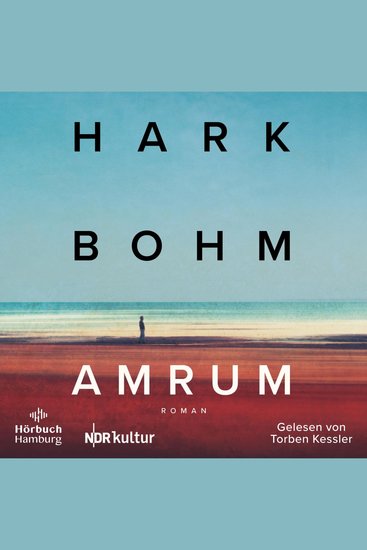 Amrum - Ein leuchtender Roman über die letzten Kriegsmonate und eine Freundschaft die alle Gräben überwindet - cover