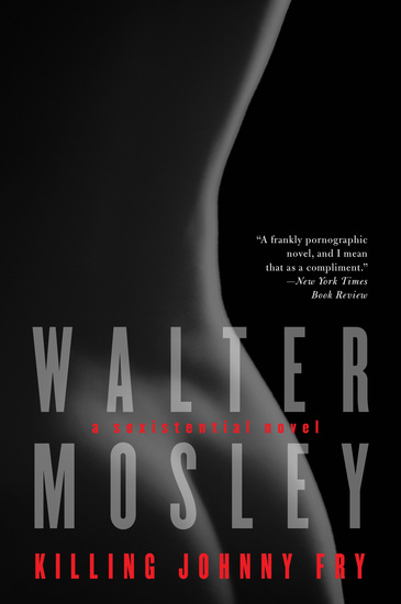Killing Johnny Fry - A Sexistential Novel - cover