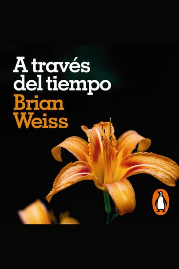 A través del tiempo - cover
