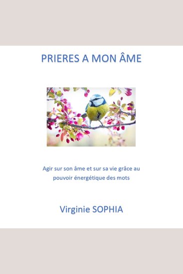 Prières à mon Âme - Agir sur son âme et sur sa vie grâce au pouvoir énergétique des mots - cover