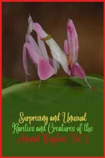 Surprising and unusual rarities and creatures of the Animal Kingdom Vol 2 - Discover the strangest creatures of the animal world from fish that walk on land to mammals that look like they came out of prehistoric times - cover