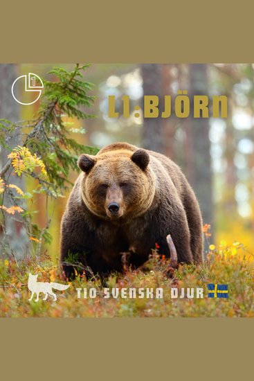 Björn - Tio svenska djur - cover
