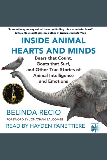 Inside Animal Hearts and Minds - Bears That Count Goats That Surf & Other True Stories of Animal Intelligence - cover