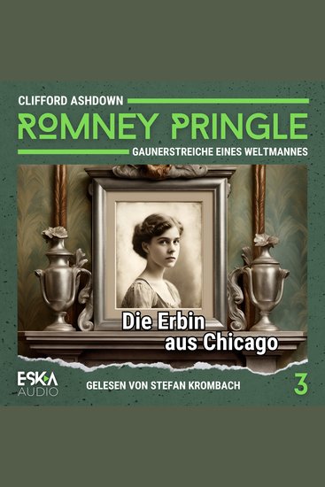 Die Erbin aus Chicago - cover