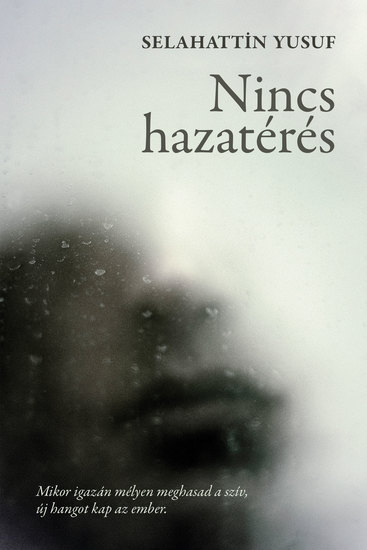 Nincs hazatérés - cover