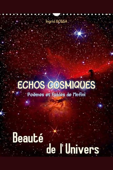 ÉCHOS COSMIQUES : Poèmes et Fables à l'Infini - cover