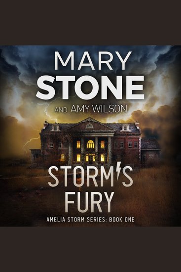 Storm's Fury - cover