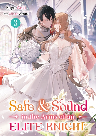 Safe & Sound in the Arms of an Elite Knight: Volume 3 - cover