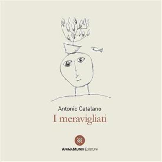 I meravigliati - cover