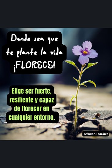 Donde sea que te plante la vida ¡FLORECE! - Elige ser fuerte resiliente y capaz de florecer en cualquier entorno - cover
