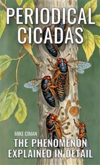 Periodical Cicadas - The Phenomenon Explained In Detail - cover