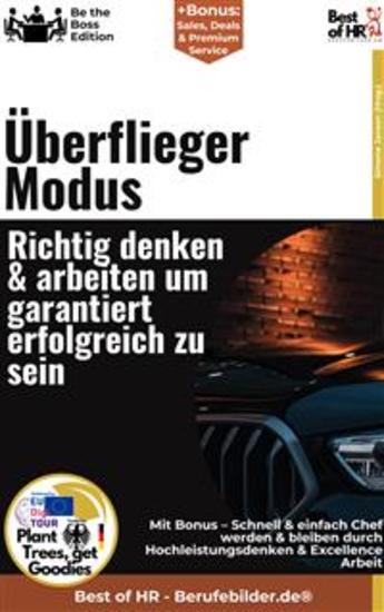 Überflieger-Modus – Richtig denken & arbeiten um garantiert erfolgreich zu sein - Incl Bonus – Schnell & einfach Chef werden & bleiben durch Hochleistungsdenken & Excellence-Arbeit - cover