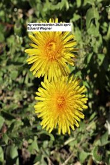 Ny verdensorden 2024 april - cover