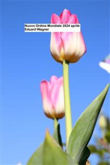Nuovo Ordine Mondiale 2024 aprile - cover