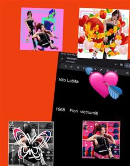 Fiori vietnamiti - cover