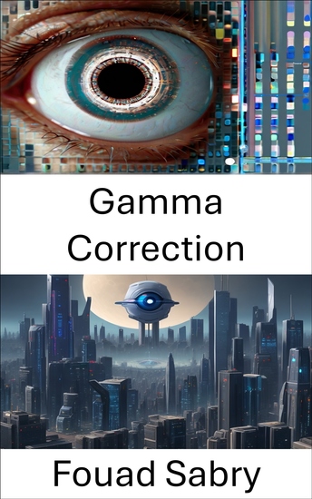 Gamma Correction - Enhancing Visual Clarity in Computer Vision: The Gamma Correction Technique - cover