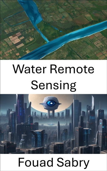 Water Remote Sensing - Advancements in Computer Vision Techniques for Water Remote Sensing - cover