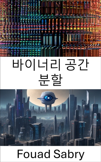 바이너리 공간 분할 - 이진 공간 분할 탐색: 컴퓨터 비전의 기초 및 응용 - cover