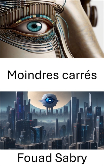 Moindres carrés - Techniques d'optimisation pour la vision par ordinateur : méthodes des moindres carrés - cover