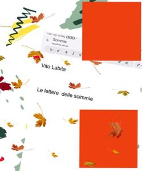 Le lettere delle scimmie - cover