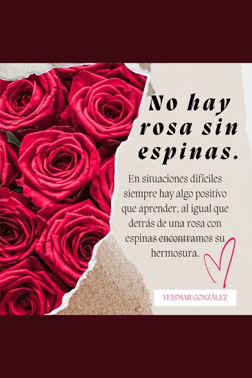 No hay rosa sin espinas - En situaciones difíciles siempre hay algo positivo que aprender al igual que detrás de una rosa con espinas encontramos su hermosura - cover