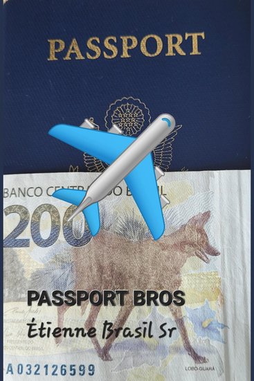 Passport Bros - Catch Flights Not Feelings - cover