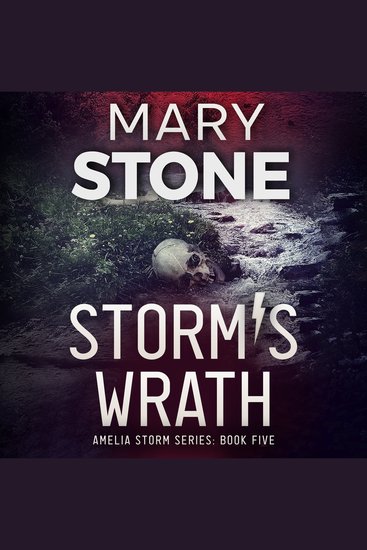 Storm's Wrath - cover