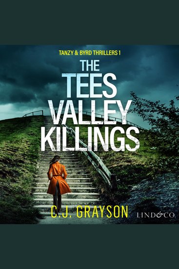 The Tees Valley Killings - cover