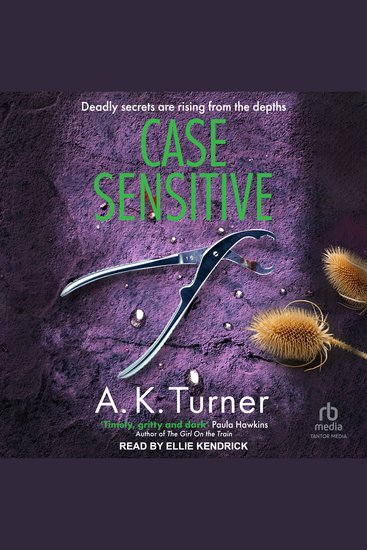 Case Sensitive - cover