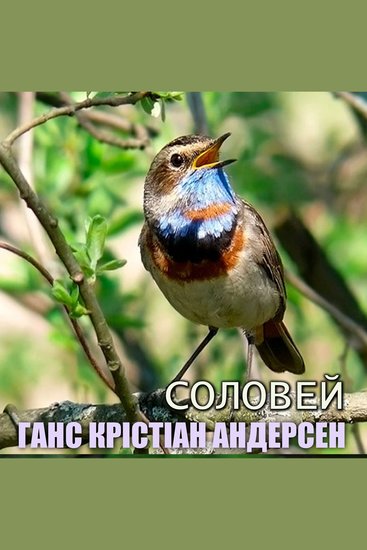 Соловей - cover