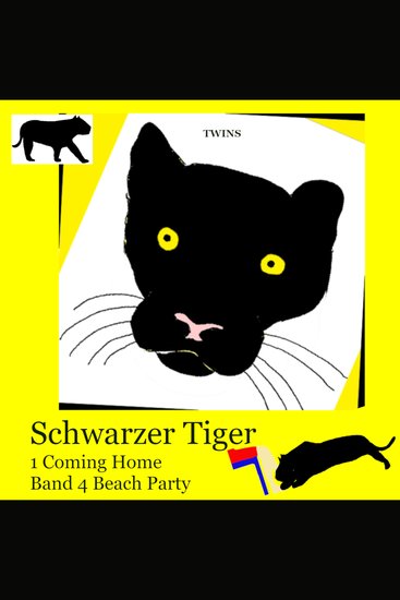 Schwarzer Tiger 1 Coming Home - Band 4 Beach Party - cover