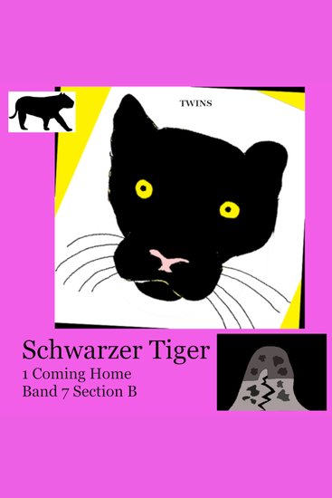 Schwarzer Tiger 1 Coming Home - Band 7 Section B - cover