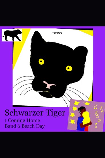 Schwarzer Tiger 1 Coming Home - Band 6 Beach Day - cover