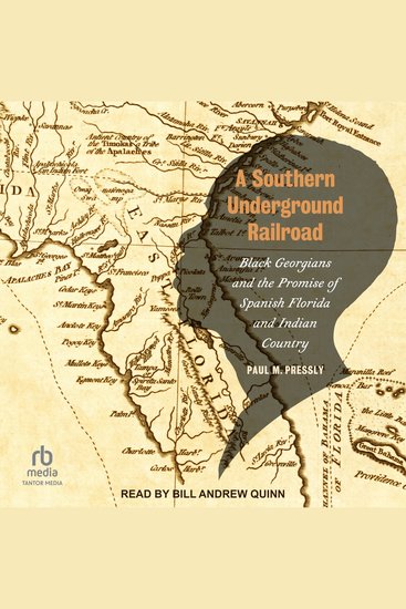 A Southern Underground Railroad - Black Georgians and the Promise of Spanish Florida and Indian Country - cover