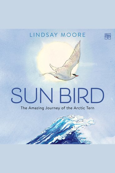 Sun Bird - The Amazing Journey of the Arctic Tern - cover