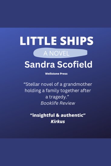 Little Ships - A Novel - cover